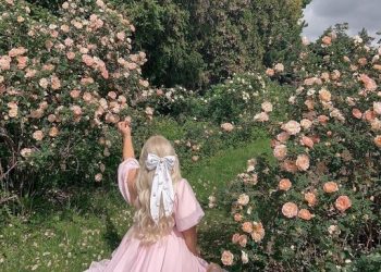 Aesthetic DPz Collection for Girls