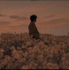 Instagram & WhatsApp Aesthetic Flower Boys Dpz