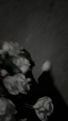 Dark Aesthetic Dpz for Boys and Girls